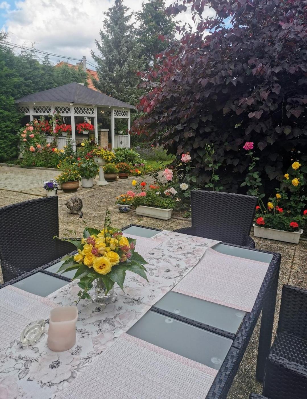Homestay Svatá Dış mekan fotoğraf